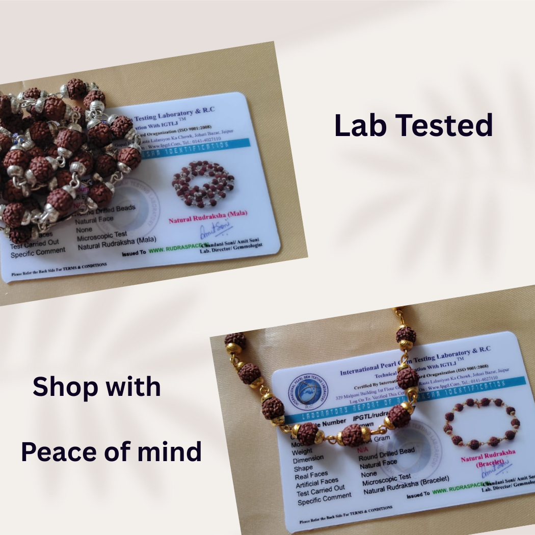 Combo 5 Mukhi Silver finish mala  with  Gold finish bracelet