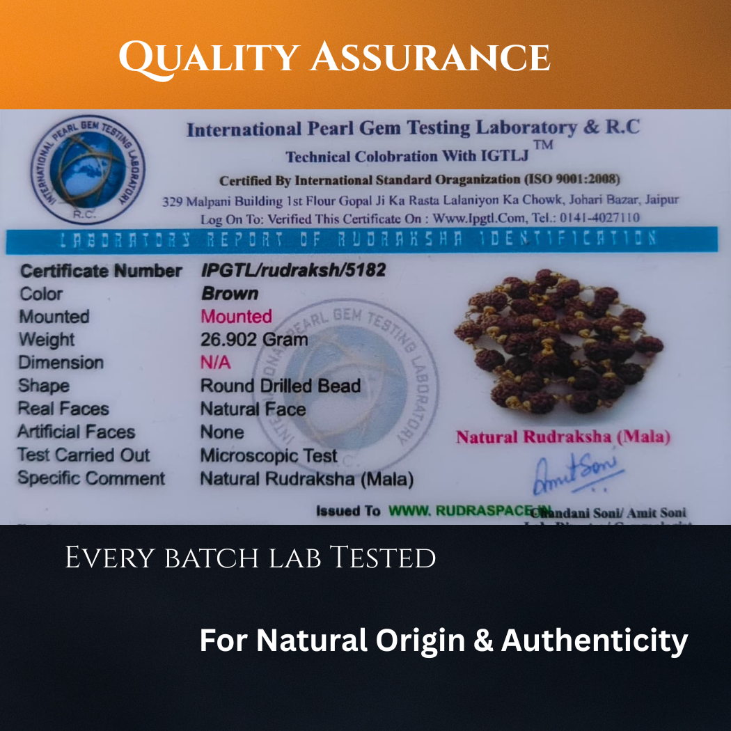 Combo 5 Mukhi Gold finish mala with Gold finish bracelet