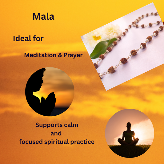 5 Mukhi Silver Finish Rudraksha Mala