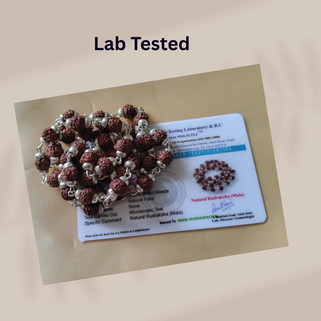 5 Mukhi Silver Finish Rudraksha Mala