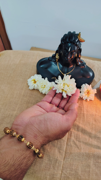 5 Mukhi Bracelet Combo